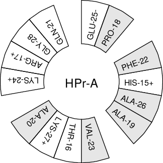 ../../_images/hpr-wheel.png